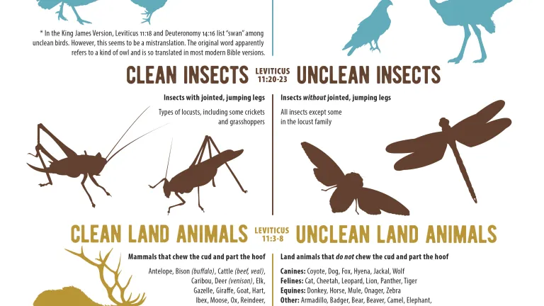 Animais Limpos e Imundos Segundo Levítico 11